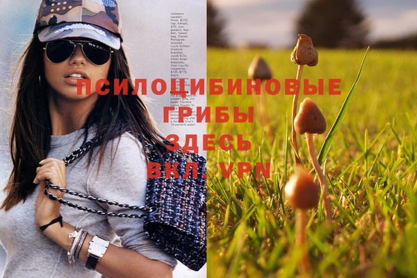 MESCALINE Михайловск
