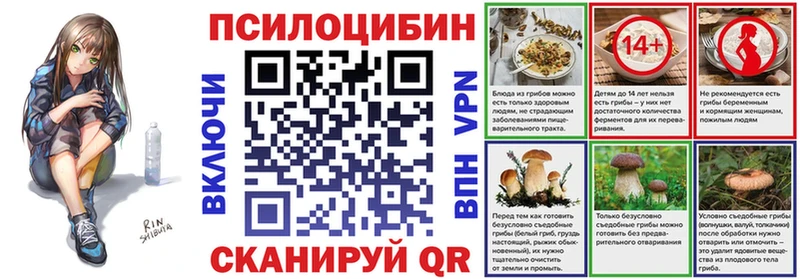Купить  Пугачёв  Псилоцибиновые грибы прущие грибы 